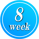 8week