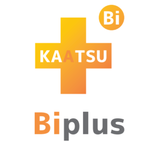 Biplusのシステム